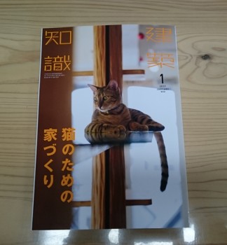 猫のための家創り