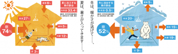 熱の逃げる部位