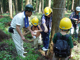 自分で伐った木で家を建てる