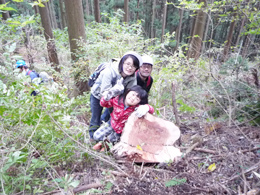 お打合せ期間中の…段取りや流れ、説明の内容、期間や打合せの長さ、その他印象や気になった事、改善してほしい事等は何でしょうか?